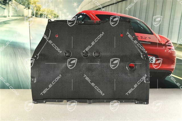 Unterbodenverkleidung, Unterbodenschutz, vorne