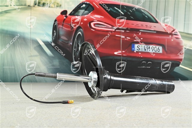 Stossdämpfer / Schwingungsdämpfer, VA, PASM, Targa, R