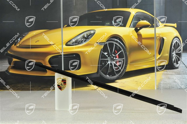 Zierleiste, coupé, L Zierleiste, coupé, L