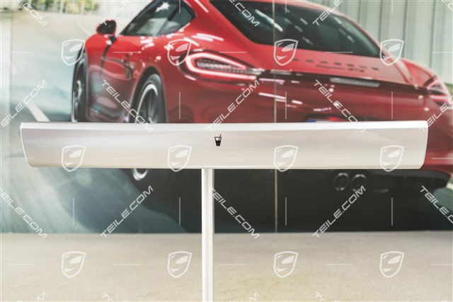 Schalttafelverkleidung / Getränkehalter Zierleiste, mitte, LHD, Galvanosilber