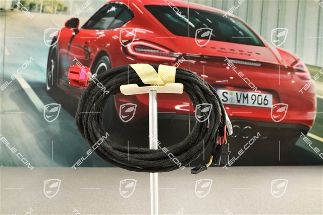 Wiring harness, Rooflining