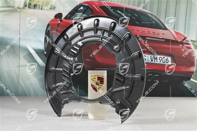 Rear axle disc brake protective plate, PCCB, R