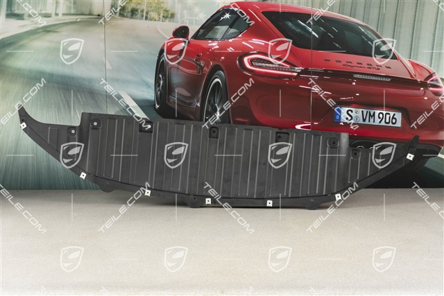Dolna część zderzaka, Spyder