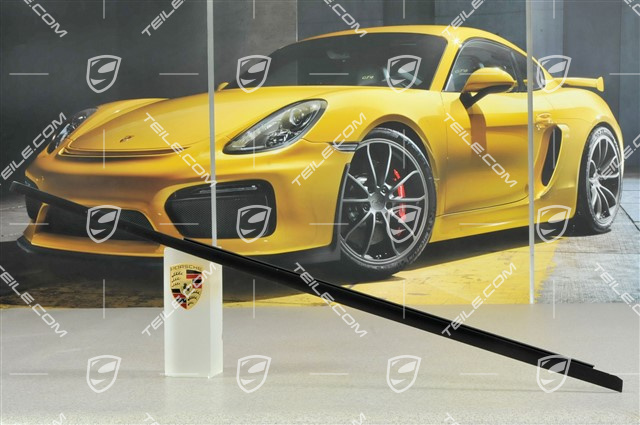 Zierleiste, coupé, L Zierleiste, coupé, L