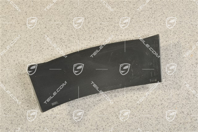 Rear light cover, outer, R