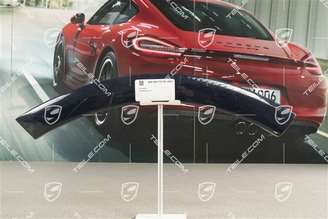 Wheel cover, door, rear, Lacquered, L