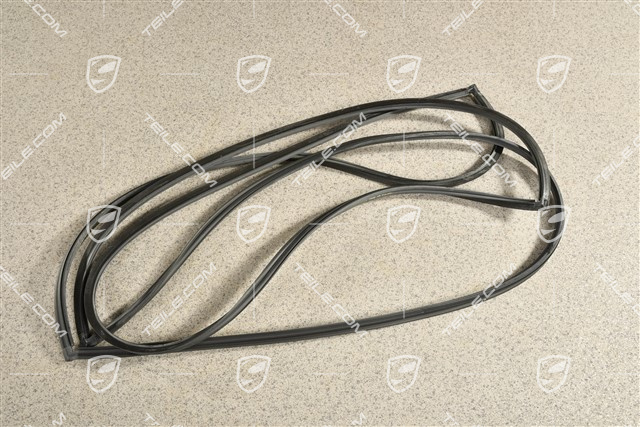 Uszczelka szyberdachu