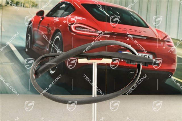 Hintere Tür-Dichtung, vorne, Off road paket, L