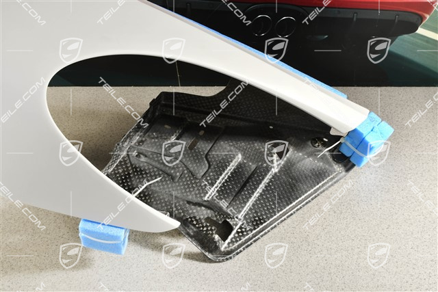 GT4 RS/Spyder RS Błotnik przedni, R