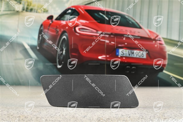 GT3, Rear spoiler / wing, L