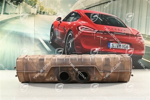 GT3/GT3RS Silencer