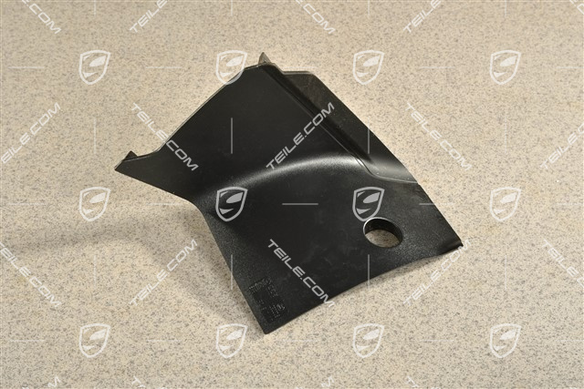 Tail light trim, L