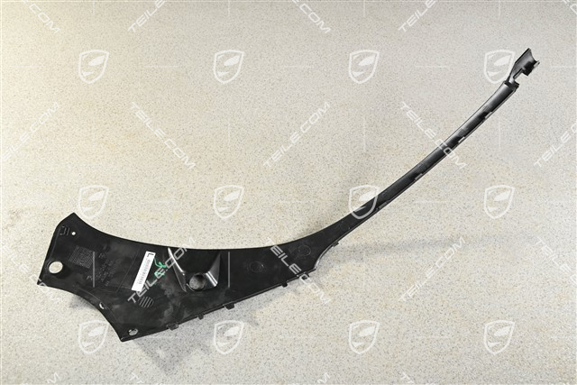 Headlight trim, L