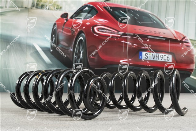 Schraubenfeder, HA, KENN - Braun / Fahrzeug tiefergelegt