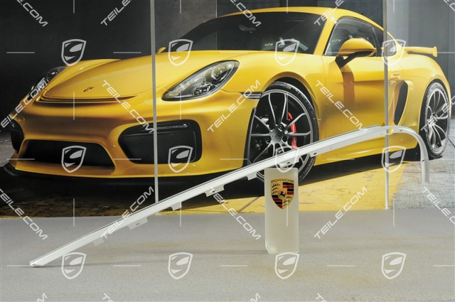 Zierleiste, Tür hinten, Alu-Look, R Zierleiste, Tür hinten, Alu-Look, R