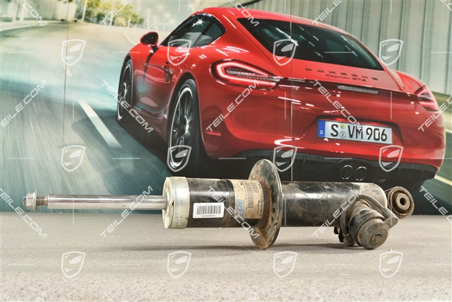 Stossdämpfer / Schwingungsdämpfer, HA, PASM / V8, L