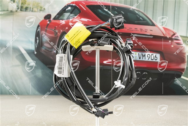 Wiring harness, rear bumper, C4/C4S, PDC