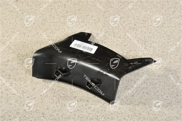 Rear light cover, outer, L