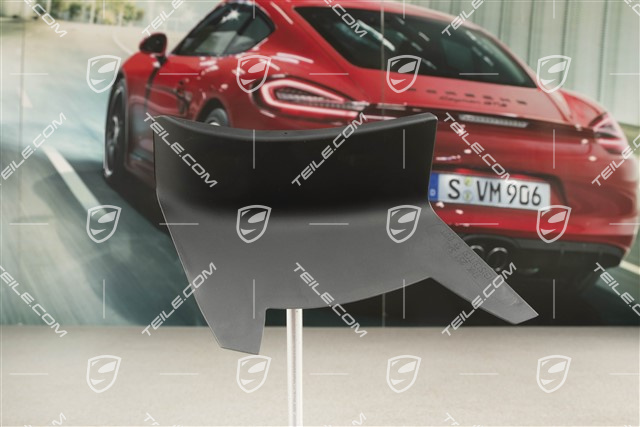 Rear light cover, outer, L