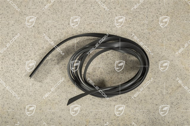 Dichtung, Glasdach, Coupe, L