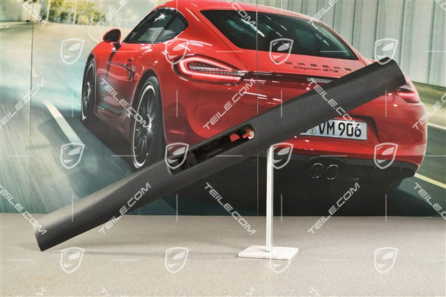 Verkleidung Schweller Fahrerseite