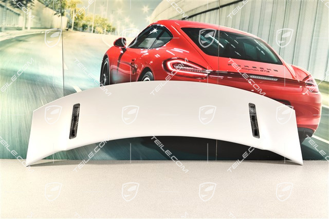 GT3 rear spoiler / wing, upper part