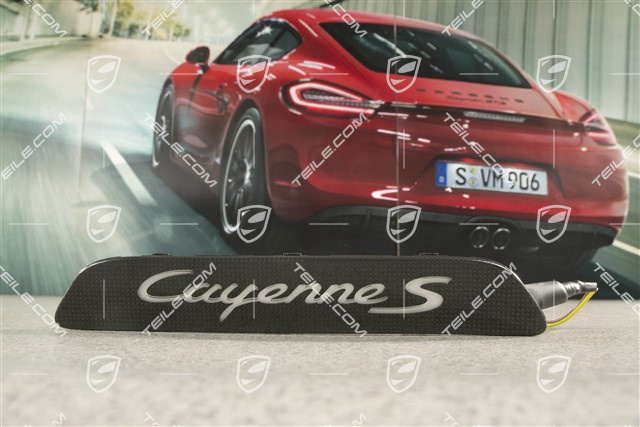 Einstiegsleisten, Carbon, Beleuchtung, Cayenne S, Hinten, L