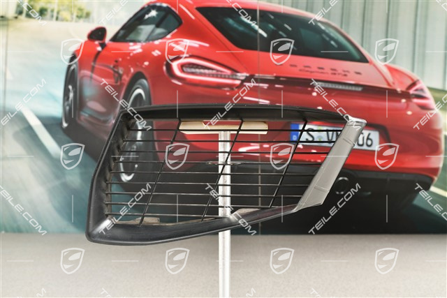 Schutzgitter Lufteinlass, L