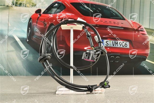Wiązka elektryczna / kabel, maska silnika, GT2 / GT2RS
