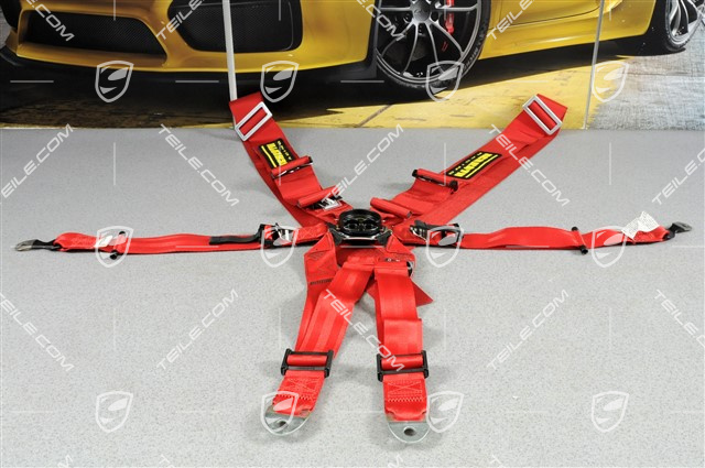 Schroth Profi 3x2 - 6-Pkt. Fahrzeugspezifischer Gurt