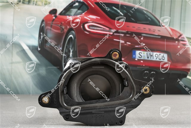 Subwoofer / shelf loudspeaker, Bose