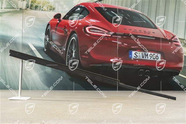 Zierleiste, außen, Targa/Cabrio, R