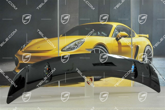 Rear spoiler / rear wing, upper section