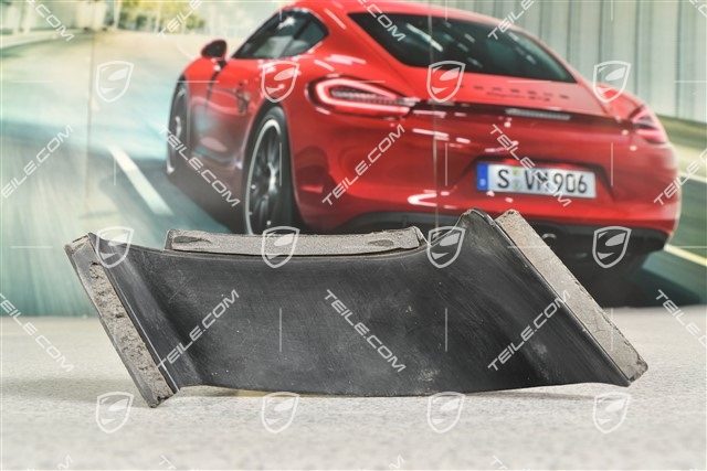 Air exhaust Frame, Rear bumper Speedster / Sport Classic, R