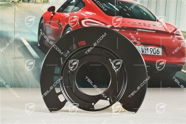Tarcza kotwiczna / osłona tarczy hamulcowej tylnej, Turbo / Turbo S, R