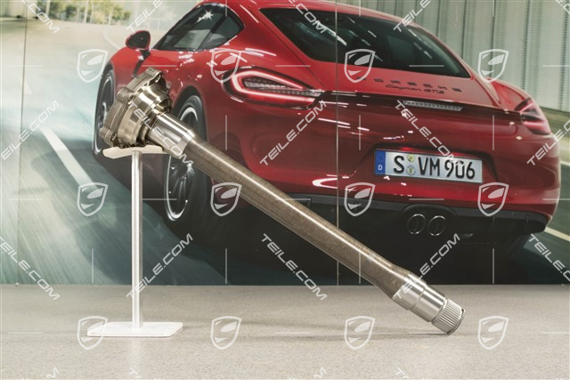 GT3RS, Gelenkflansch, 7-Gang PDK, Lang