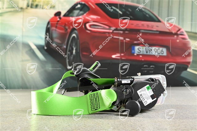 Coupe / Targa, Sicherheitsgurt, Lizardgrün, R