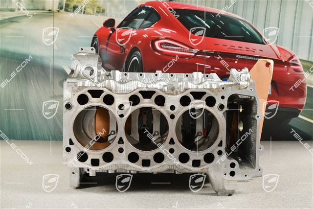 GT3RS Crankcase, A176