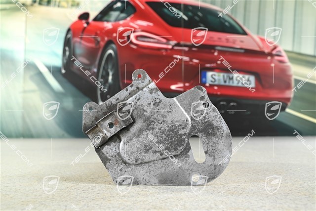 Heat Shield, high pressure fuel pump