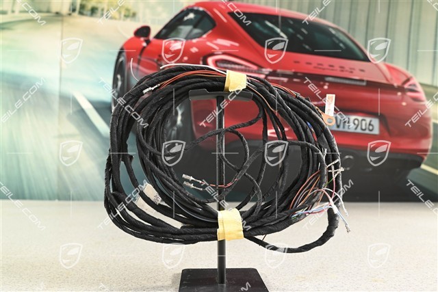 Wiring harness Anti-theft alarm