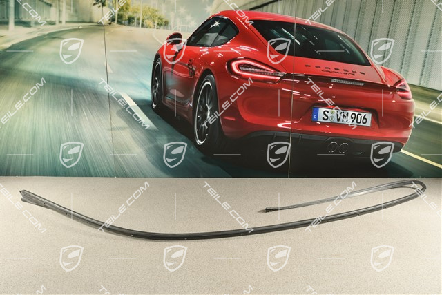 Roof frame sealing, black, R