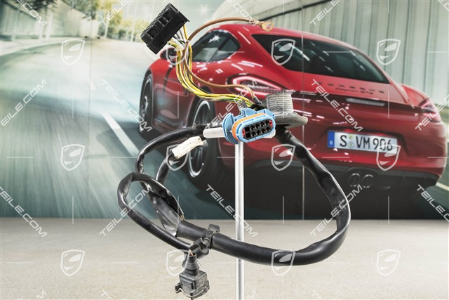 Kabelstrang, vorne, (nicht für Xenon), R
