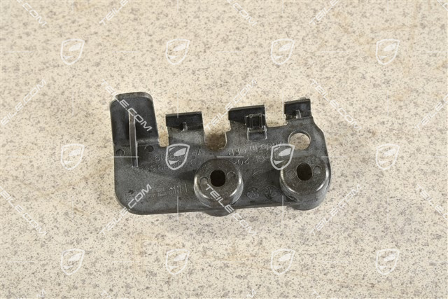 Halter, R
