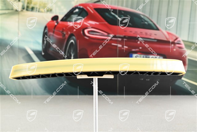 Gleitschiene / Gleitstueck / Führung, Turbo / GT3, R