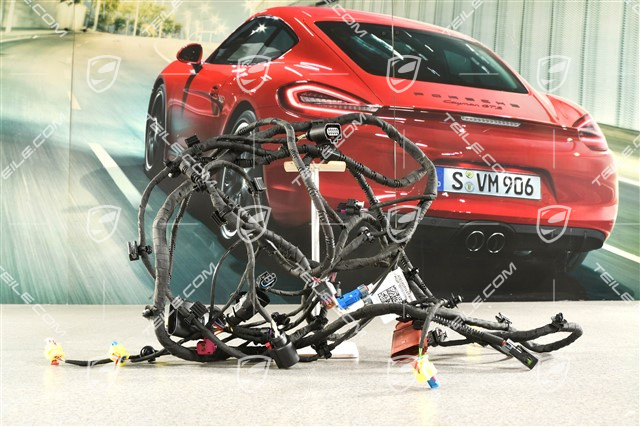 Wiring harness front bumper, Extended and crash-active pedestrian protection