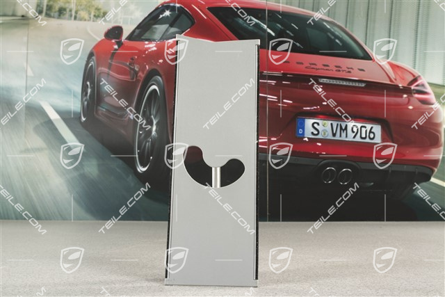 Schieber Verkleidung, B-Säule, oben, R