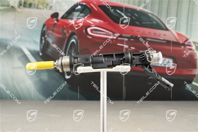 High pressure injector, Cayman S