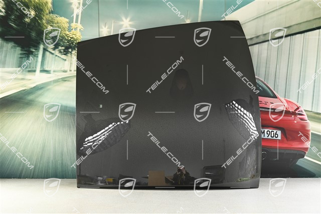 Outer roof panel, carbon, USA version, with hole for antenna