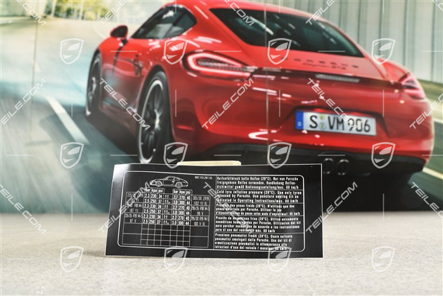 Tire and loading information sticker