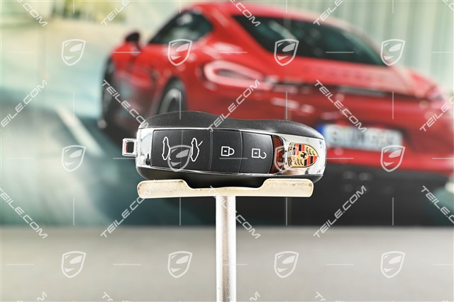 Pilot centralnego zamka / alarmu